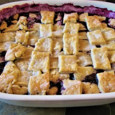 blueberry cobbler may 14